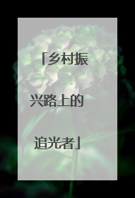 乡村振兴路上的追光者
