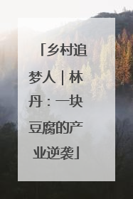乡村追梦人｜林丹：一块豆腐的产业逆袭
