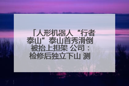 人形机器人“行者泰山”泰山首秀滑倒被抬上担架 公司：检修后独立下山 测试就是为暴露问题