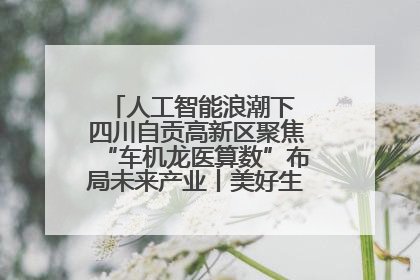 人工智能浪潮下 四川自贡高新区聚焦“车机龙医算数”布局未来产业丨美好生活有“盐”味