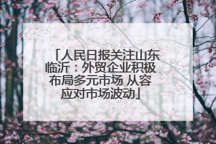 人民日报关注山东临沂：外贸企业积极布局多元市场 从容应对市场波动