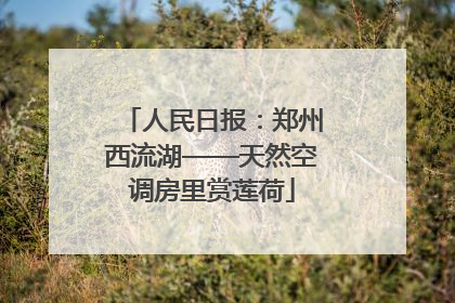 人民日报：郑州西流湖——天然空调房里赏莲荷