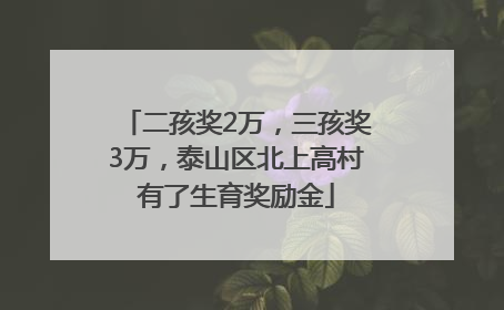 二孩奖2万，三孩奖3万，泰山区北上高村有了生育奖励金
