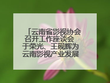 云南省影视协会召开工作座谈会 于荣光、王砚辉为云南影视产业发展出谋划策