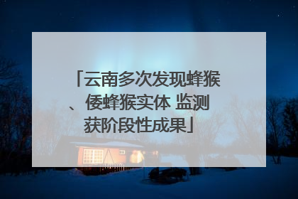 云南多次发现蜂猴、倭蜂猴实体 监测获阶段性成果