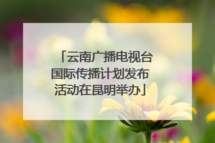 云南广播电视台国际传播计划发布活动在昆明举办