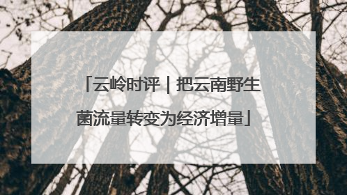 云岭时评｜把云南野生菌流量转变为经济增量
