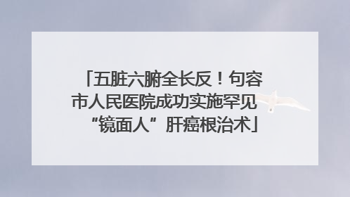 五脏六腑全长反！句容市人民医院成功实施罕见“镜面人”肝癌根治术