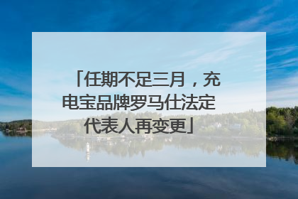 任期不足三月，充电宝品牌罗马仕法定代表人再变更