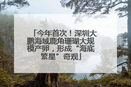 今年首次！深圳大鹏海域鹿角珊瑚大规模产卵，形成“海底繁星”奇观