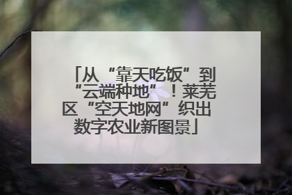 从“靠天吃饭”到“云端种地”！莱芜区“空天地网”织出数字农业新图景