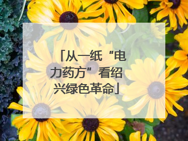 从一纸“电力药方”看绍兴绿色革命