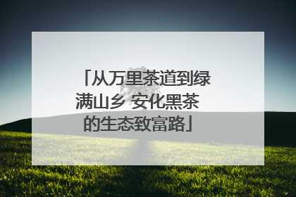 从万里茶道到绿满山乡 安化黑茶的生态致富路