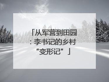 从军营到田园：李书记的乡村 “变形记”