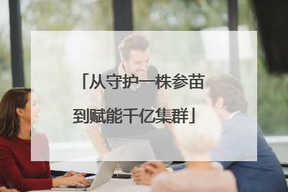 从守护一株参苗到赋能千亿集群