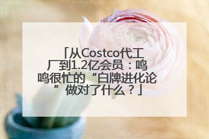 从Costco代工厂到1.2亿会员：鸣鸣很忙的“白牌进化论”做对了什么？