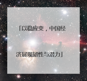 以稳应变，中国经济展现韧性与潜力