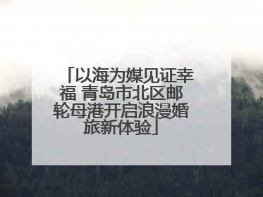 以海为媒见证幸福 青岛市北区邮轮母港开启浪漫婚旅新体验