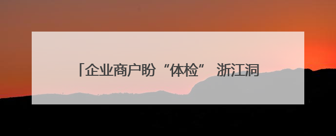 企业商户盼“体检” 浙江洞头预检服务颠覆传统市场监管