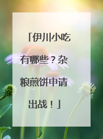 伊川小吃有哪些？杂粮煎饼申请出战！