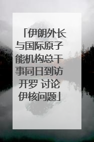 伊朗外长与国际原子能机构总干事同日到访开罗 讨论伊核问题
