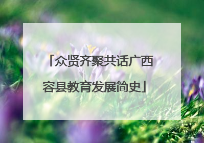 众贤齐聚共话广西容县教育发展简史