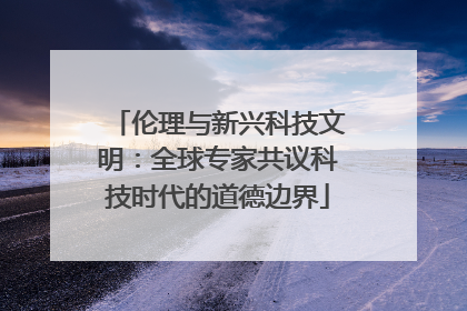 伦理与新兴科技文明：全球专家共议科技时代的道德边界