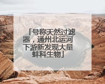 号称天然过滤器，通州北运河下游新发现大量蚌科生物