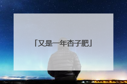 又是一年杏子肥