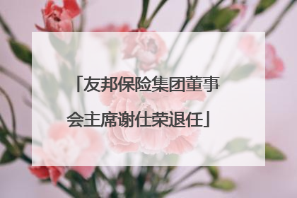 友邦保险集团董事会主席谢仕荣退任