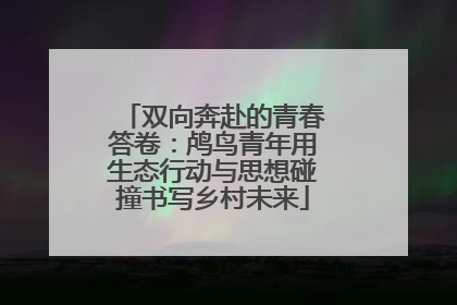 双向奔赴的青春答卷：鸬鸟青年用生态行动与思想碰撞书写乡村未来