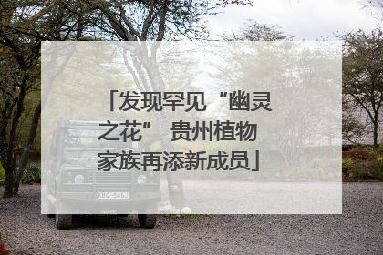 发现罕见“幽灵之花” 贵州植物家族再添新成员