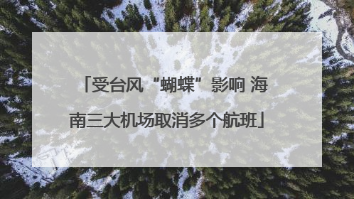 受台风“蝴蝶”影响 海南三大机场取消多个航班