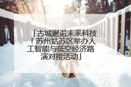 古城邂逅未来科技！苏州姑苏区举办人工智能与低空经济路演对接活动