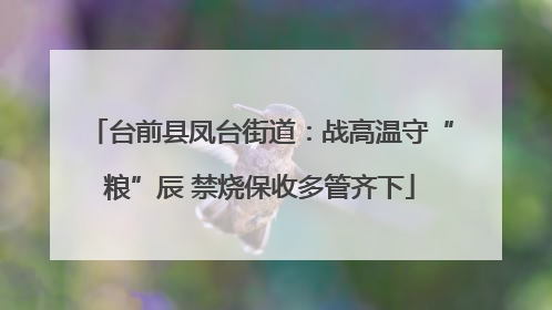 台前县凤台街道：战高温守“粮”辰 禁烧保收多管齐下