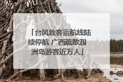 台风致客运航线陆续停航 广西疏散涠洲岛游客近万人