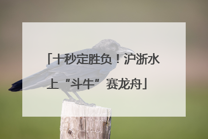 十秒定胜负！沪浙水上“斗牛”赛龙舟