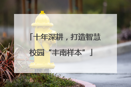 十年深耕，打造智慧校园“丰南样本”