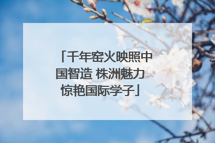 千年窑火映照中国智造 株洲魅力惊艳国际学子