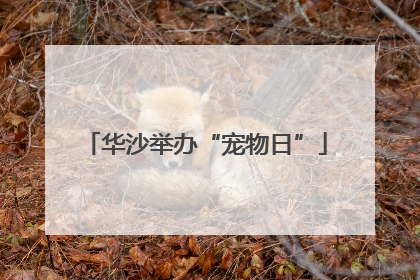 华沙举办“宠物日”