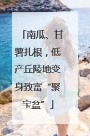南瓜、甘薯扎根，低产丘陵地变身致富“聚宝盆”