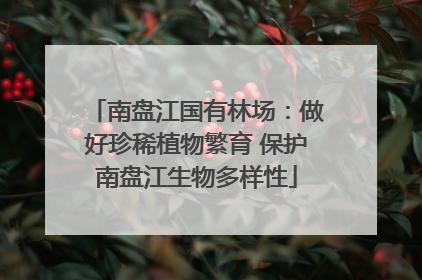 南盘江国有林场：做好珍稀植物繁育 保护南盘江生物多样性