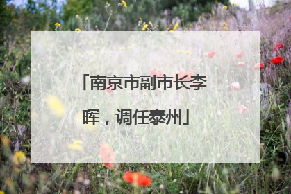 南京市副市长李晖，调任泰州