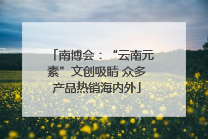 南博会：“云南元素”文创吸睛 众多产品热销海内外