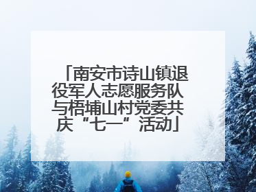 南安市诗山镇退役军人志愿服务队与梧埔山村党委共庆“七一”活动
