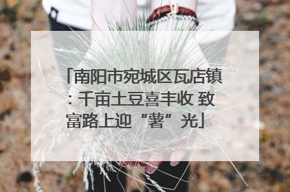 南阳市宛城区瓦店镇：千亩土豆喜丰收 致富路上迎“薯”光