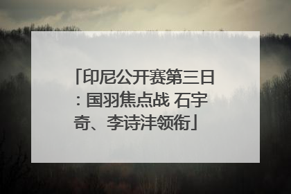 印尼公开赛第三日：国羽焦点战 石宇奇、李诗沣领衔