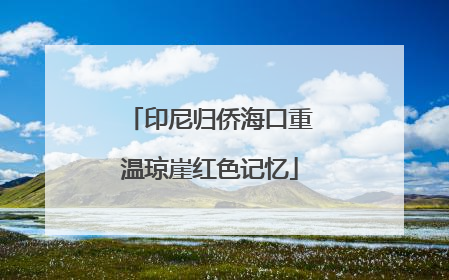 印尼归侨海口重温琼崖红色记忆