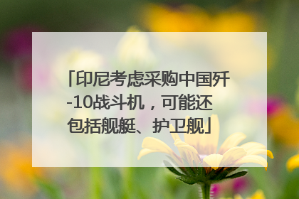 印尼考虑采购中国歼-10战斗机，可能还包括舰艇、护卫舰