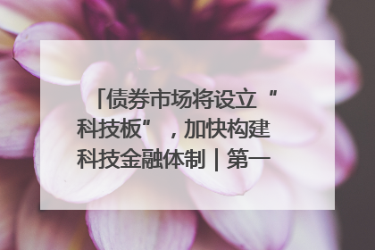 债券市场将设立“科技板”，加快构建科技金融体制｜第一财经研究院中国金融条件指数周报